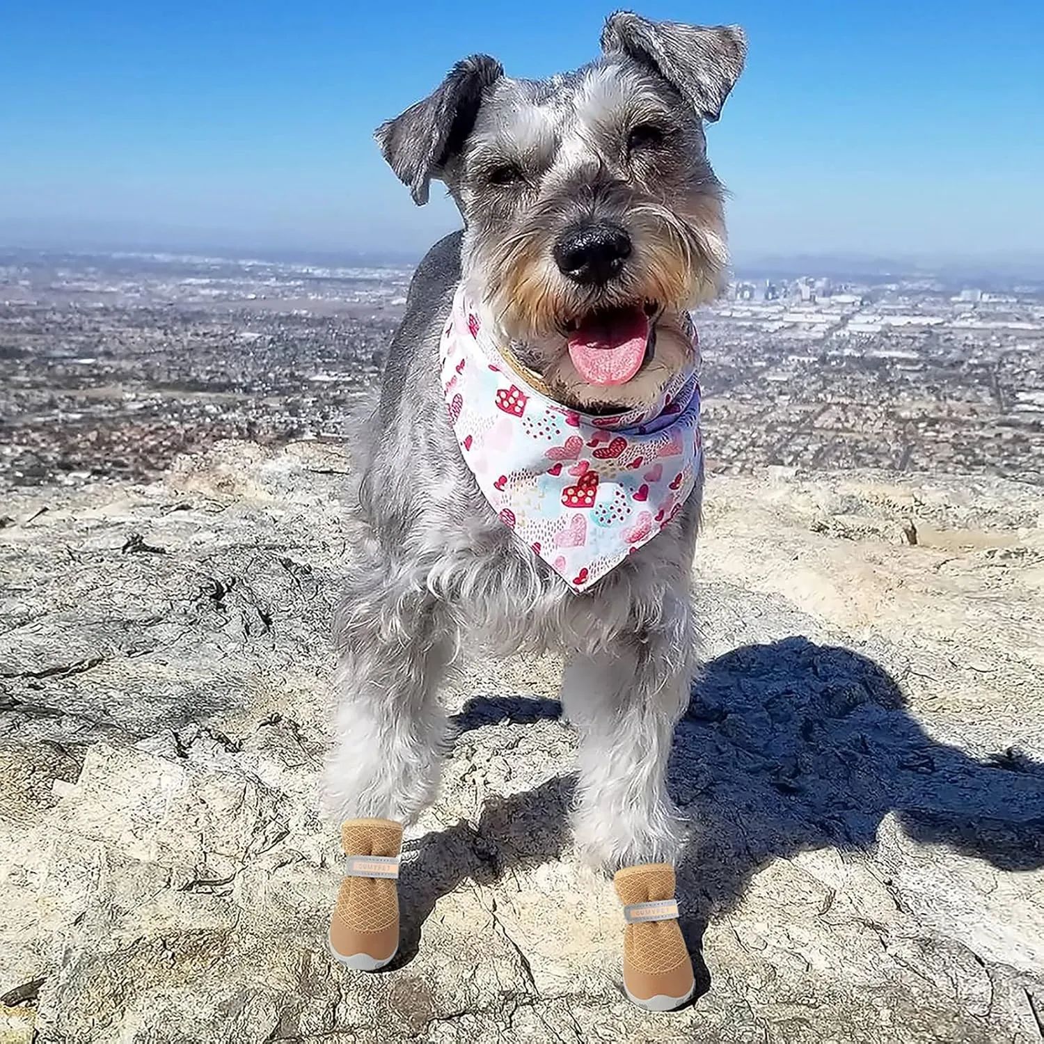 QUMY 4PCS Dog Shoes for Small Dogs, Hot Pavement Summer Puppy Dog Boots & Paw Protectors with Soft Anti-Slip Rubber Sole, Mesh Breathable Dog Booties for Hardfloors, Walking Running Khaki Size 5